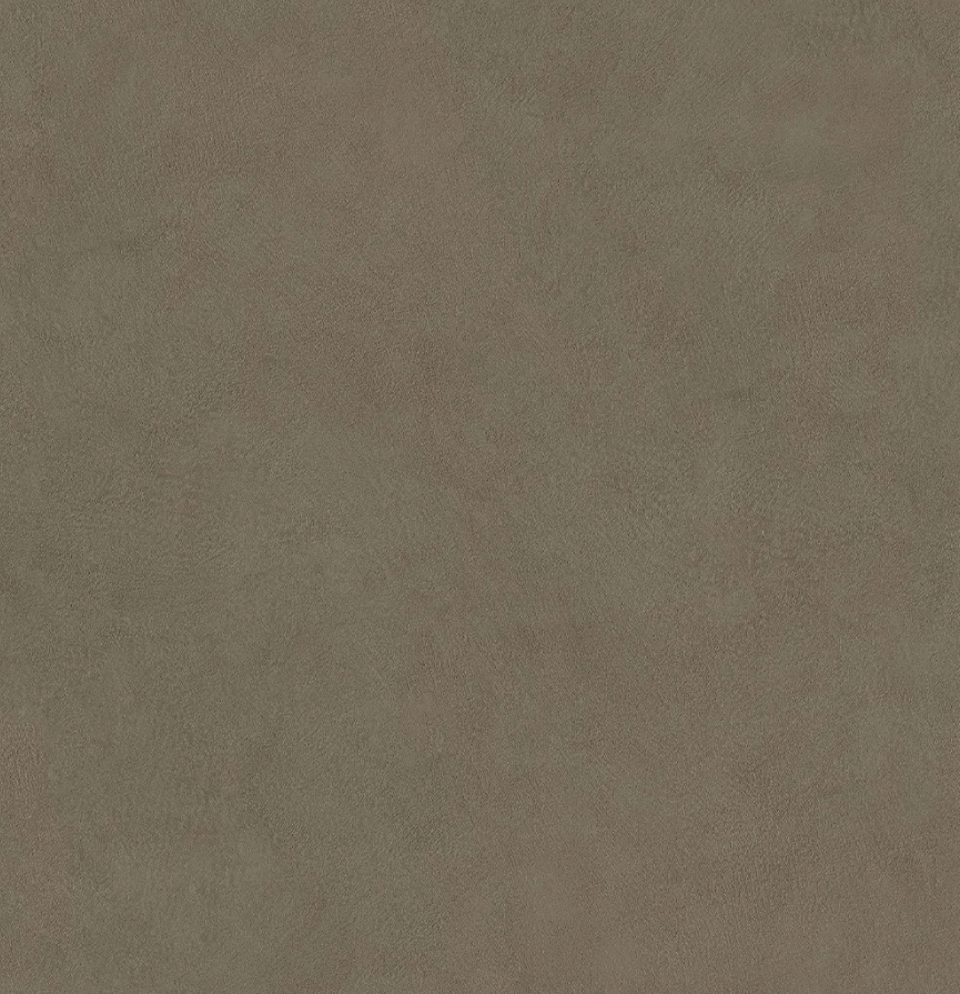 Plaster Ash